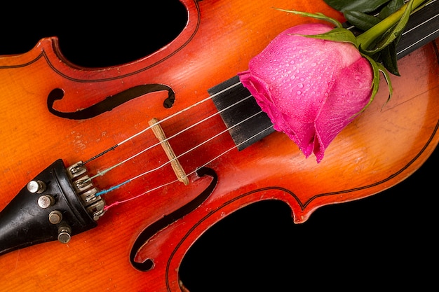 Violon et rose rouge sur fond noir.