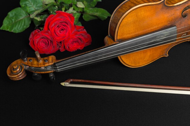 Violon et rose