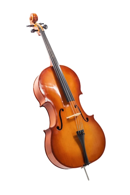 Violoncelle ou violon isolé sur wihte