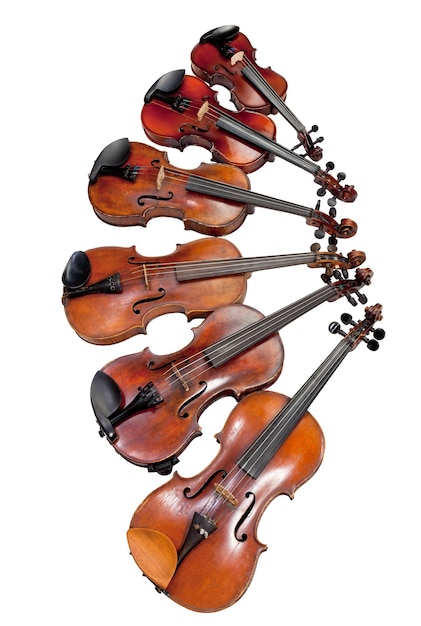 Violons de différentes tailles