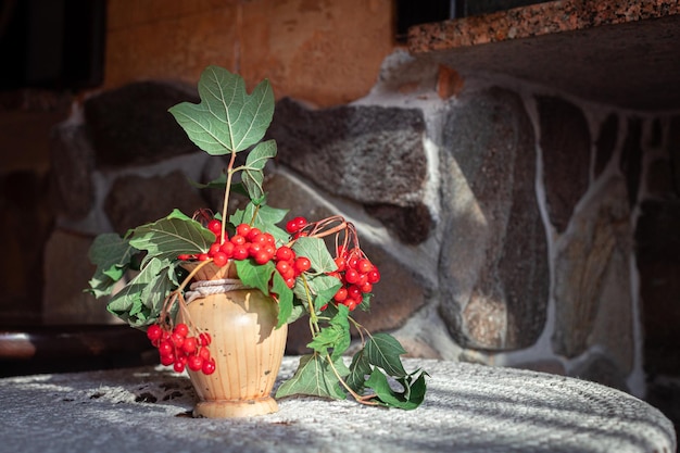 Viorne ukrainienne dans un café confortable dans un vase en argile