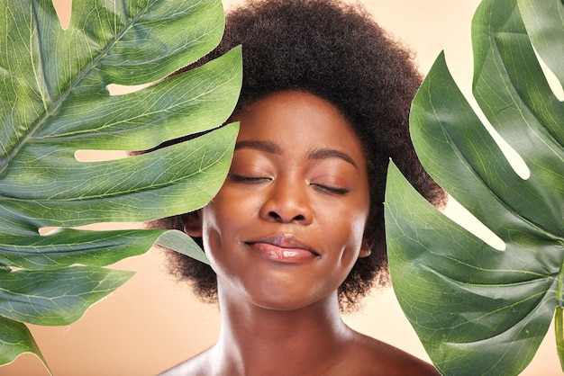 Photo visage de femme et feuilles de monstera pour la beauté, les cosmétiques naturels et le bien-être esthétique sur fond de studio plantes vertes de modèle africain heureux et durabilité des soins et de l'éclat de la dermatologie végétalienne