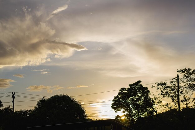 Vista de hermoso atardecer entre los arboles.