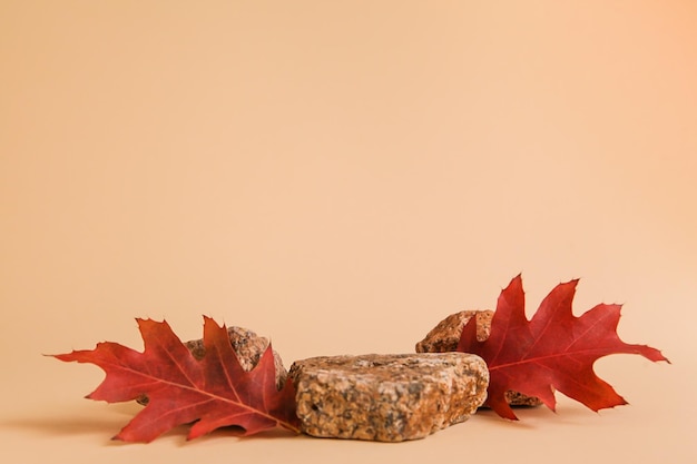 Vitrine d'automne en feuillage d'automne en pierre naturelle Cosmétiques de présentation de podium vide Scène de marque minimaliste