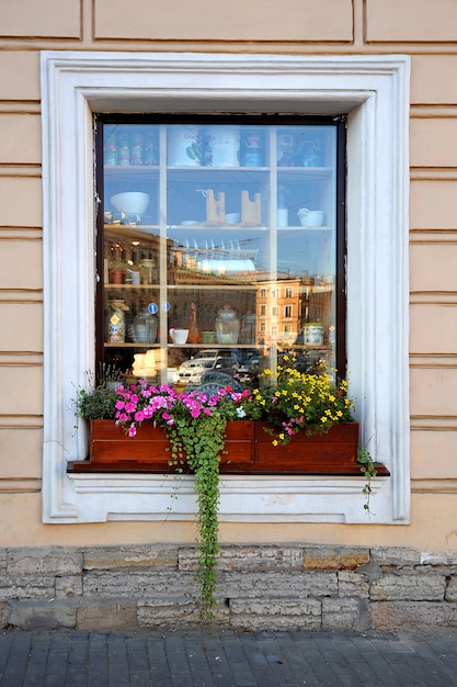 Vitrine colorée avec des fleurs et du lierre vert