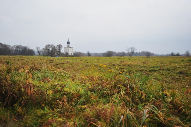 VLADIMIR, RUSSIE - 3 NOVEMBRE 2021 : Église de l'Intercession sur le Nerl à Bogolyubovo