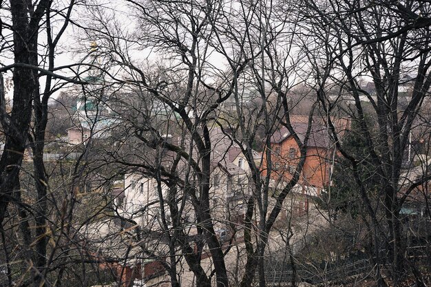 VLADIMIR, RUSSIE - 3 novembre 2021 : vue sur les bâtiments résidentiels à travers des branches d'arbres à Vladimir