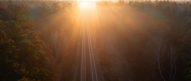 Voie ferrée vide dans la forêt au coucher du soleil ou à l'aube