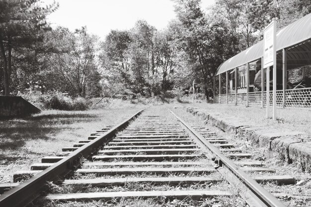 Photo voie ferroviaire