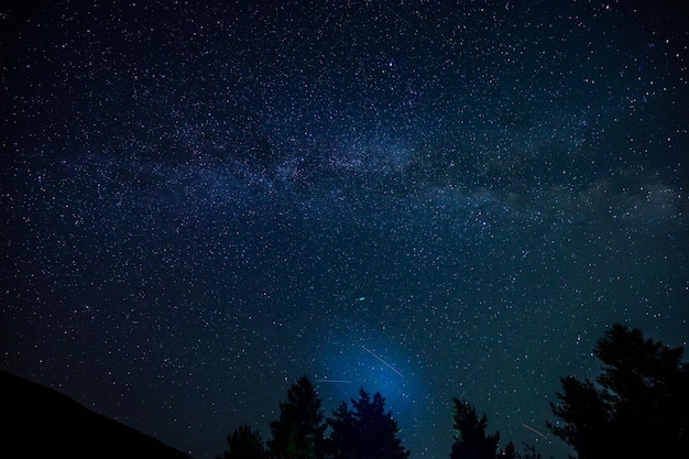 Voie lactée au-dessus de la forêt la nuit galaxie