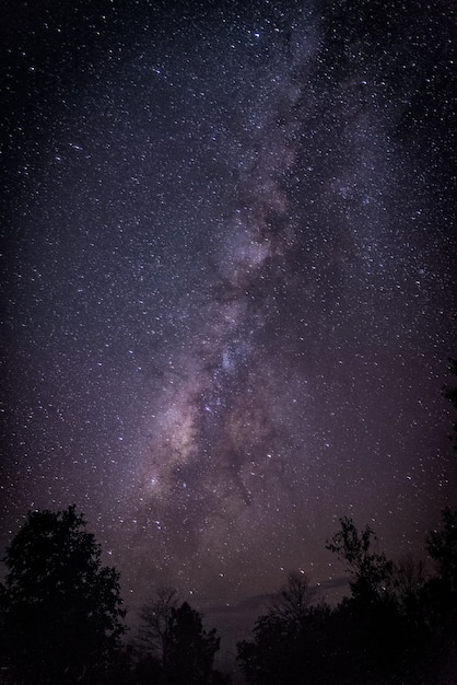 Voie Lactée. Beau ciel de nuit d&#39;été avec des étoiles. Contexte.