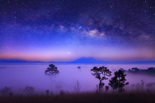 Voie lactée et brouillard au parc national Thung Salang Luang