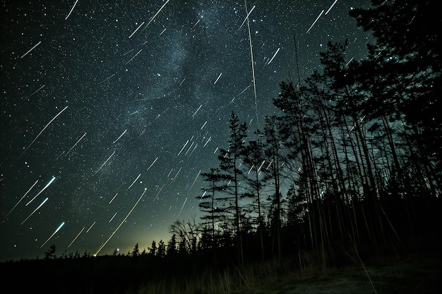 Photo la voie lactée et les étoiles au-dessus de la forêt de pins pendant une longue exposition nocturne