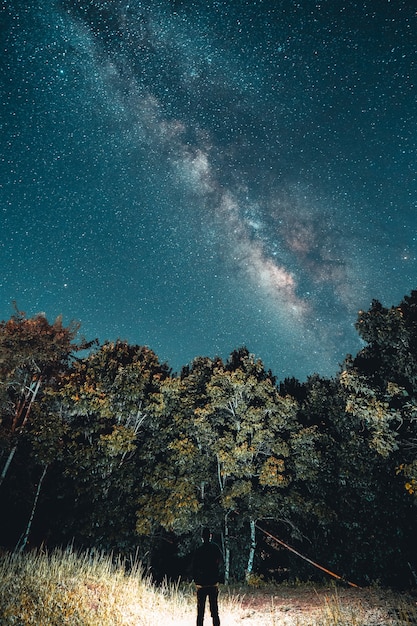 Voie lactée et étoiles de nuit dans les champs Ton d'humeur