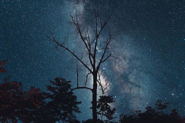 Voie lactée et étoiles de nuit dans les champs Ton d'humeur