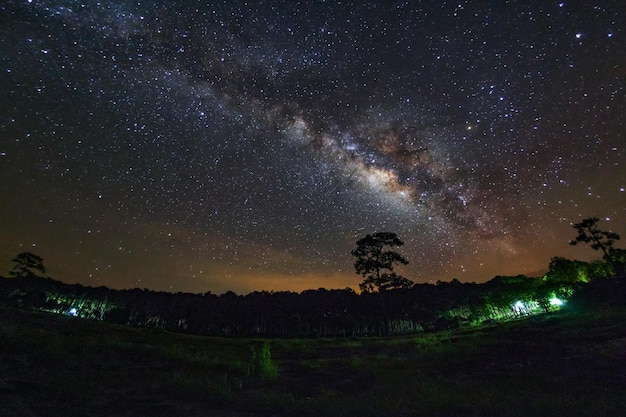 Voie lactée et silhouette d'arbre à Phu Hin Rong Kla National ParkPhitsanulok Thaïlande