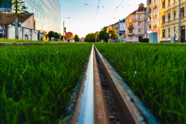 Voie de tramway couverte d'herbe