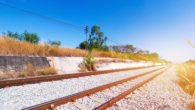 Voies ferrées en acier de train en Thaïlande avec vue sur les arbres à côté de la route.