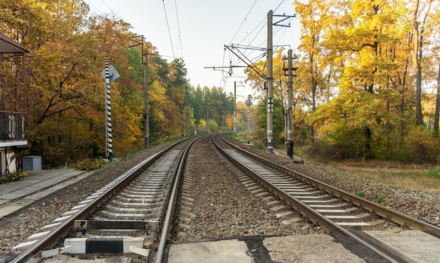 Voies ferrées sur fond de forêt d'automne