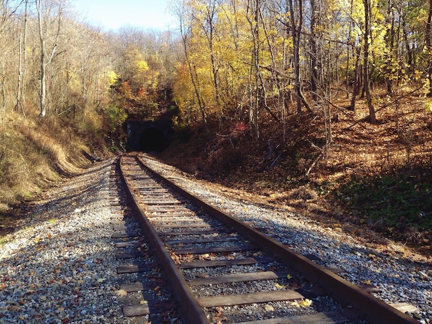 Photo les voies ferrées menant au tunnel