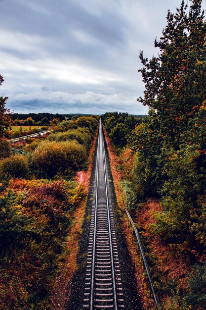 Photo les voies ferrées par les arbres contre le ciel