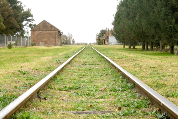 Photo voies ferrées avec pins et ancienne gare