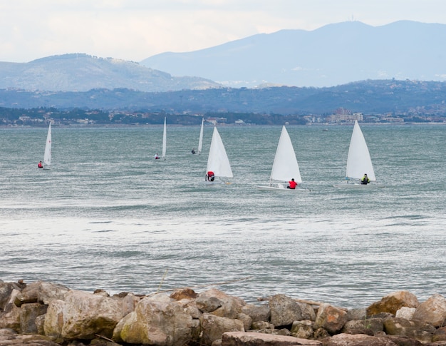 Voile de course sur la mer.