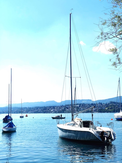 Photo des voiliers amarrés dans la marina