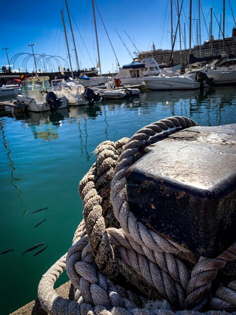 Photo des voiliers amarrés dans le port