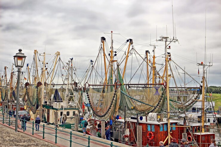 Photo des voiliers dans le port contre le ciel