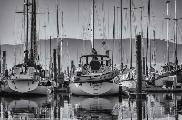 Photo des voiliers dans le port de plaisance