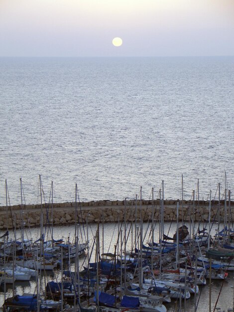 Photo des voiliers en mer au coucher du soleil