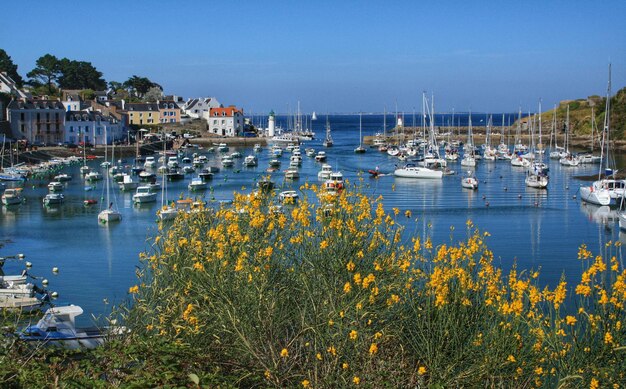 Des voiliers sur la mer contre le ciel à Sauzon