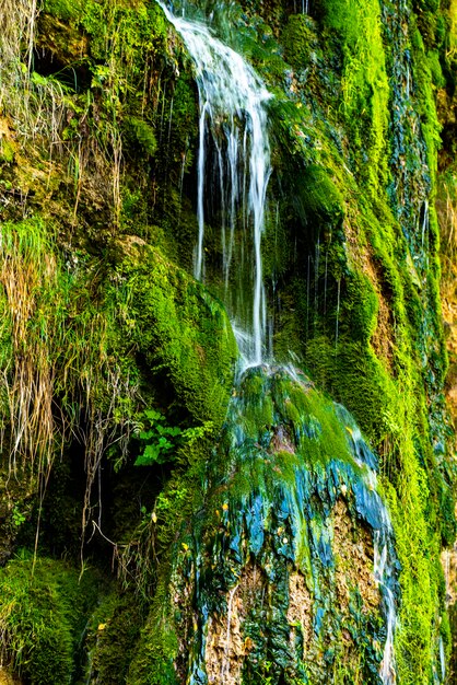 Voir à la cascade de Gostilje à la montagne Zlatibor en Serbie