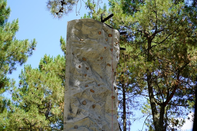 Voir jusqu'au sommet d'un haut mur d'escalade artificiel dans le parc des pins