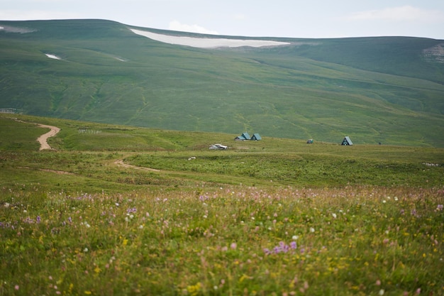 Voir des maisons touristiques parmi les prairies alpines vertes et fleuries