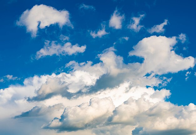 Voir à nuages blancs sur le ciel bleu