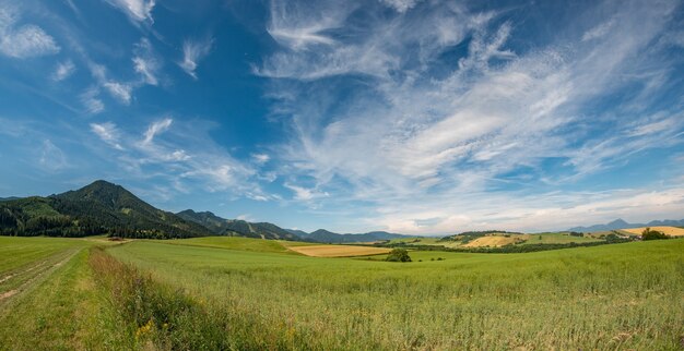 Voir le paysage d'été des contreforts des montagnes de tatra inférieures