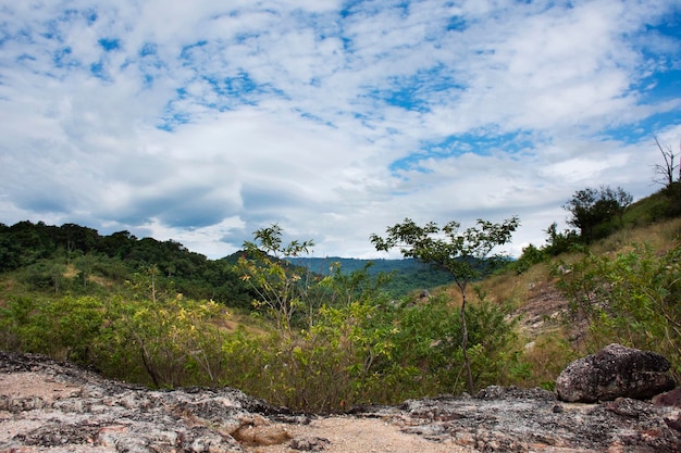 Voir le paysage avec la forêt de montagne de Khao Lon Aventure pour les thaïlandais et les voyageurs étrangers voyage visite repos détente randonnée trekking sur le point de vue dans la jungle à la ville de Sarika à Nakhon Nayok Thaïlande