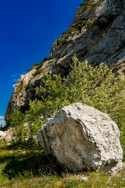 Voir à des rochers de pierre à la gorge du Danube à Djerdap sur la frontière serbo-roumaine