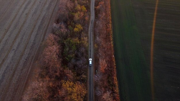 Voiture blanche conduisant un chemin de terre entre les champs agricoles campagne soirée d'automne vue de dessus aérienne d