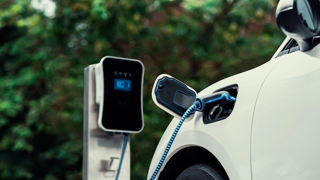 Voiture électrique branchée avec une station de recharge pour recharger la batterie avec de l'électricité par câble de chargeur EV dans un parc écologique et un feuillage verdoyant Future voiture électrique innovante et durabilité énergétiqueParcourir