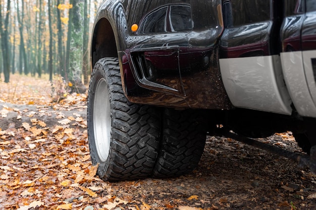 Photo voiture endommagée dans la forêt en automne