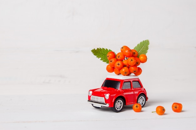 Photo voiture jouet rouge avec rowan sur le toit en bois blanc