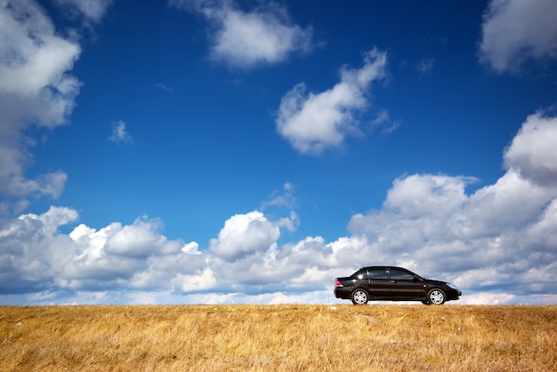 Voiture sur prairie