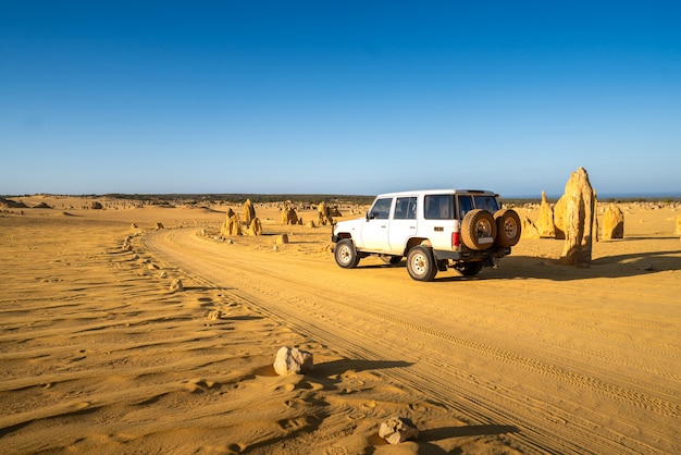 Photo voiture à quatre roues motrices sur pinnacles drive, chemin de terre dans le désert de pinnacles, parc national de nambung, australie occidentale., australie.