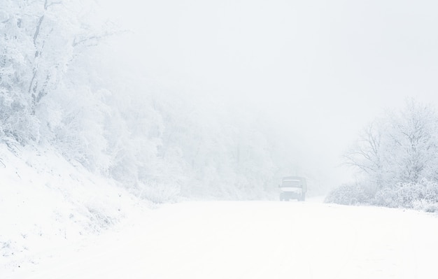 Voiture sur route enneigée dans la forêt d'hiver