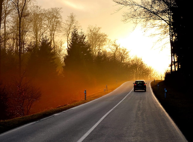 Voiture se déplaçant sur la route par des arbres de silhouette au coucher du soleil