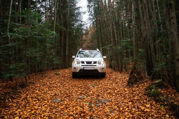 Voiture suv blanche sur la route du sentier dans la forêt d'automne