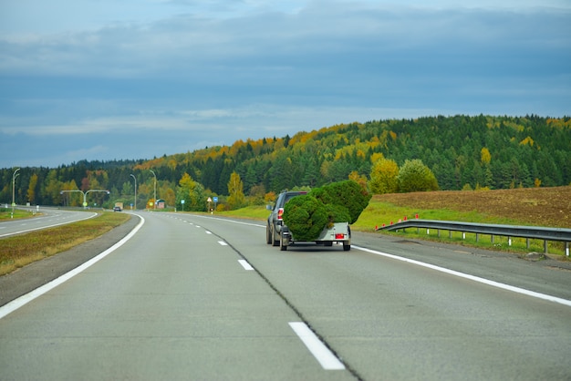 Voiture transporte des arbres